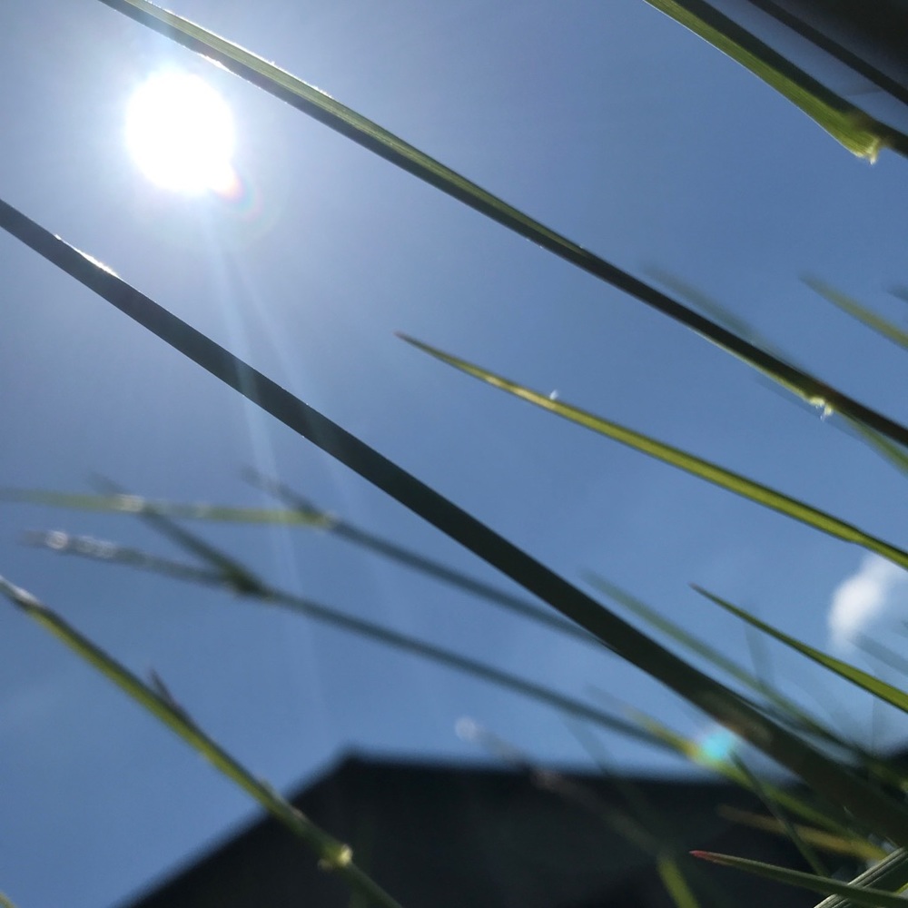 Meet your Posher, Skyla